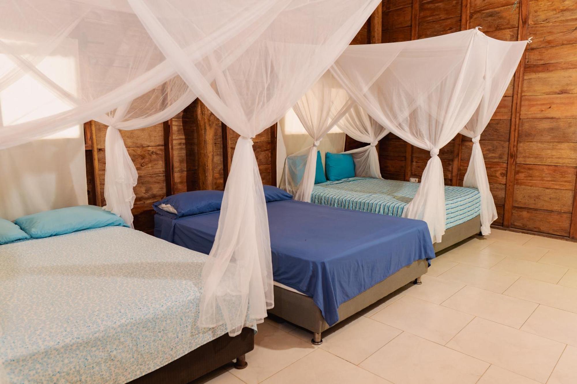 Paraiso Natural Ecohotel Сан-Бернардо-дель-Вьенто Номер фото